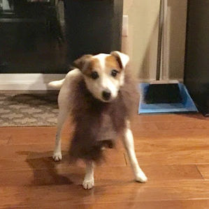 Meet your Posher, Gillian